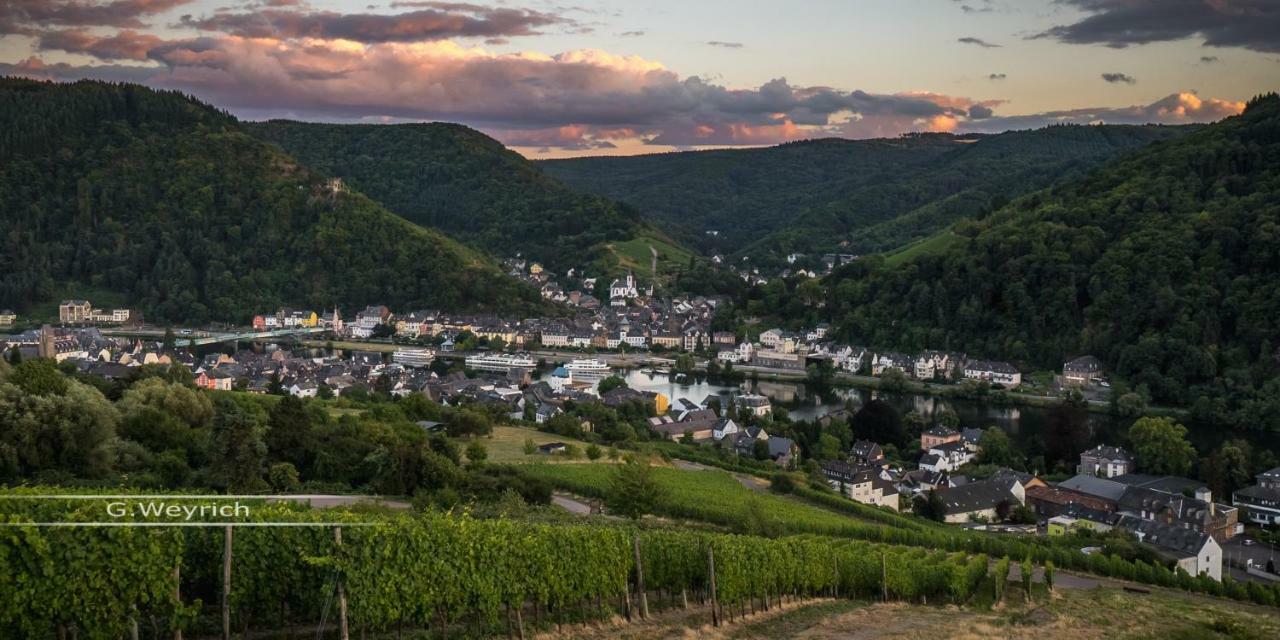 Вилла Ferienweingut Goebel Трабен-Трарбах Экстерьер фото